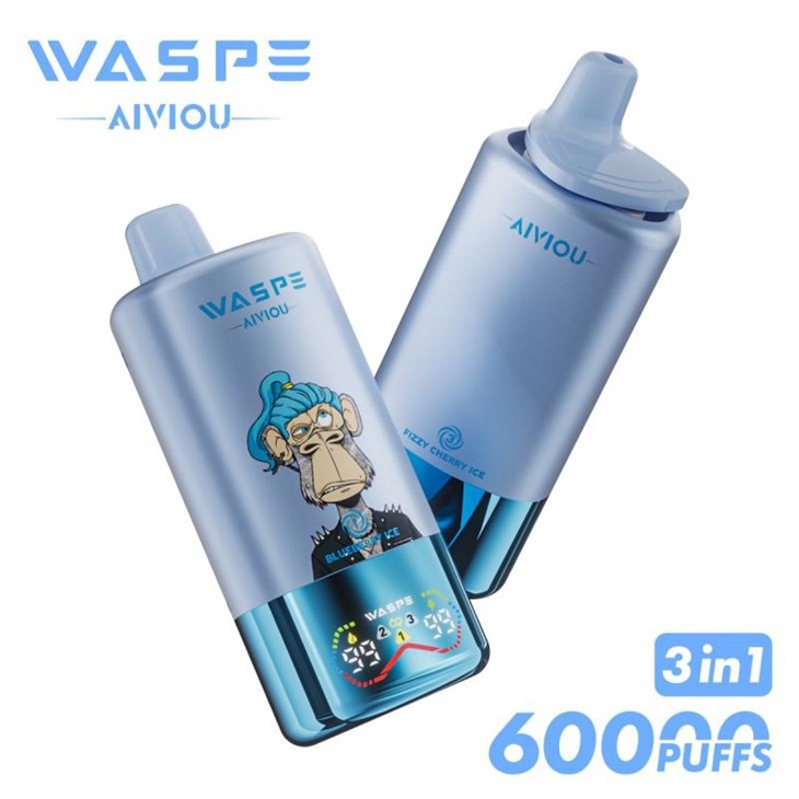 WASPE 3 in 1 60000 11 WASPE 3 in 1 60000 11